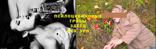 spice Богданович