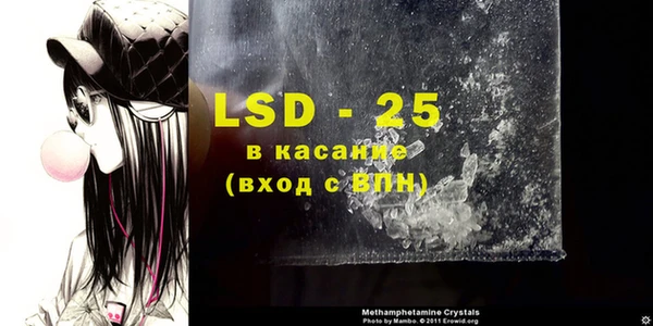spice Богданович