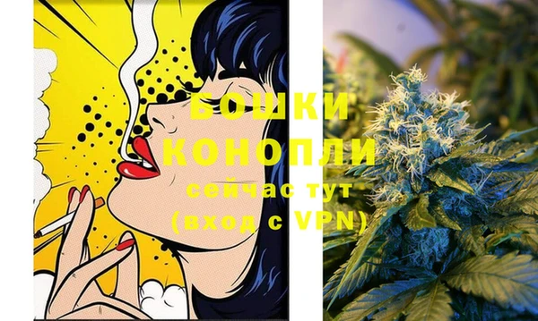 spice Богданович